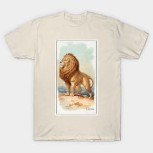 Lion (1890) T-Shirt